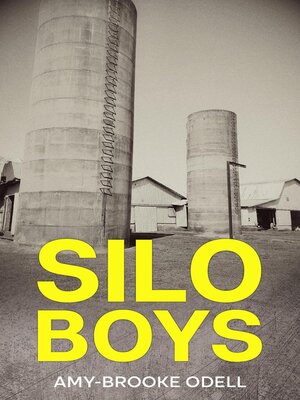 cover image of Silo Boys